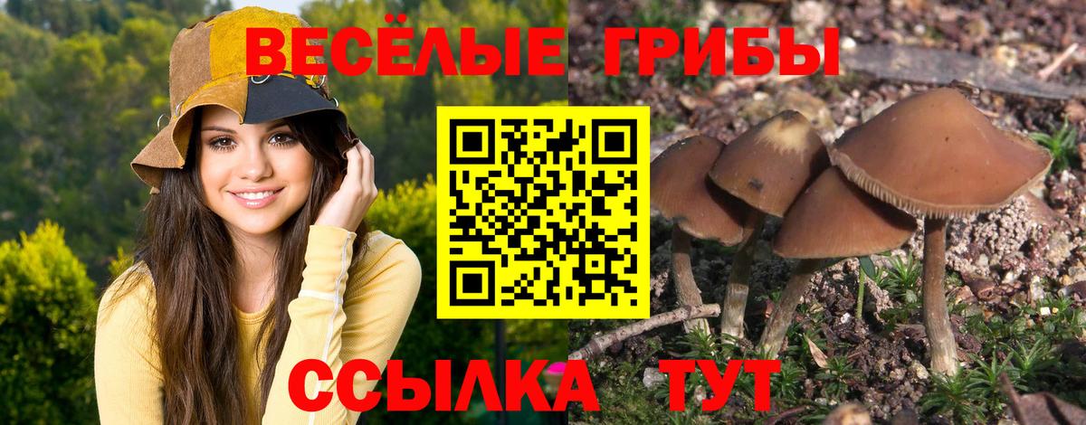 Куйбышев  Галлюциногенные грибы ЛСД  Вход с VPN 