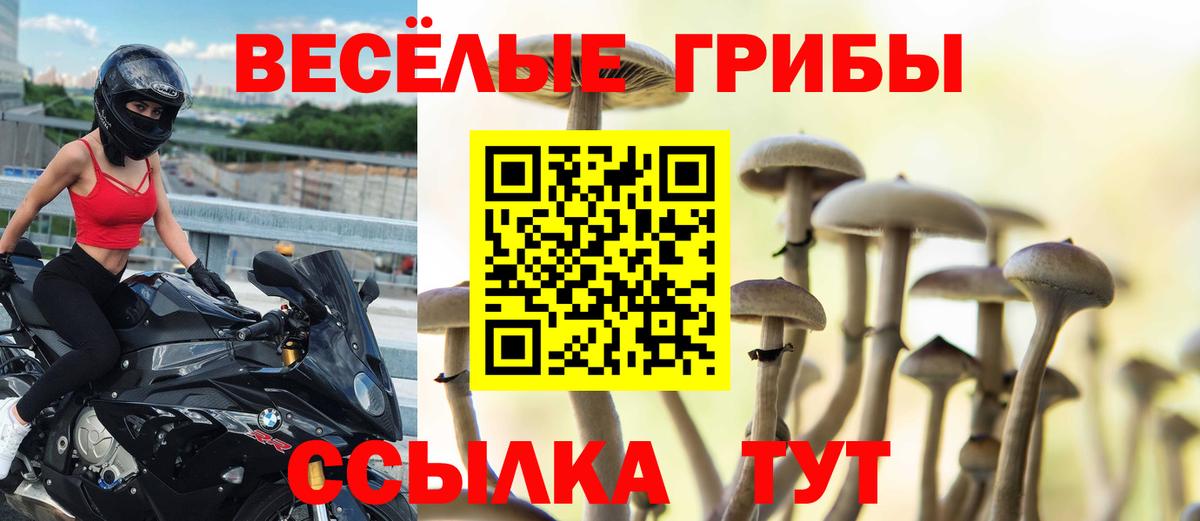 Псилоцибиновые грибы MAGIC MUSHROOMS Куйбышев